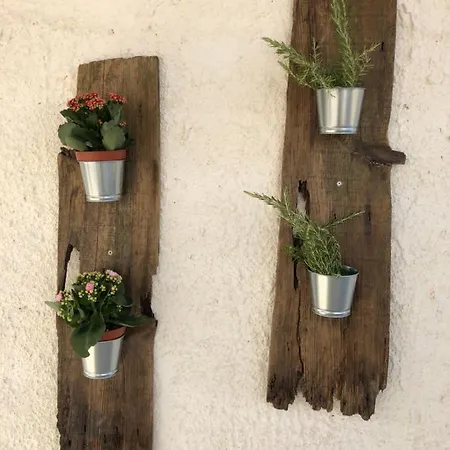 Casa vacanze Il Lentisco *