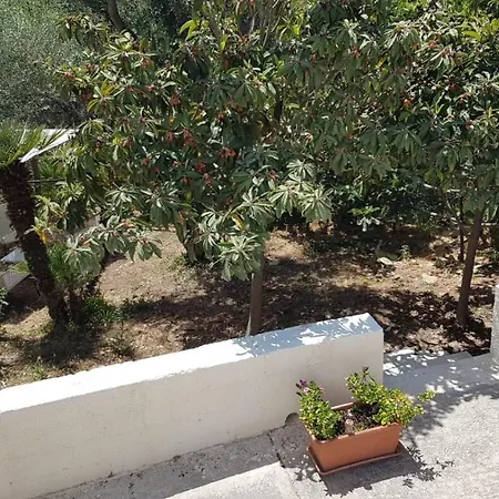Il Lentisco * Noto