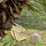 Il Lentisco